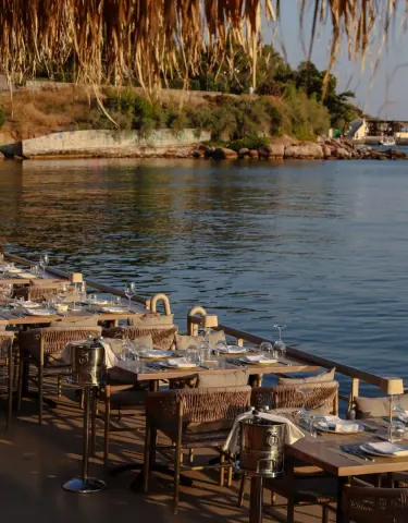 BlueFish Vouliagmeni, seafood restaurant, restaurant in Athens