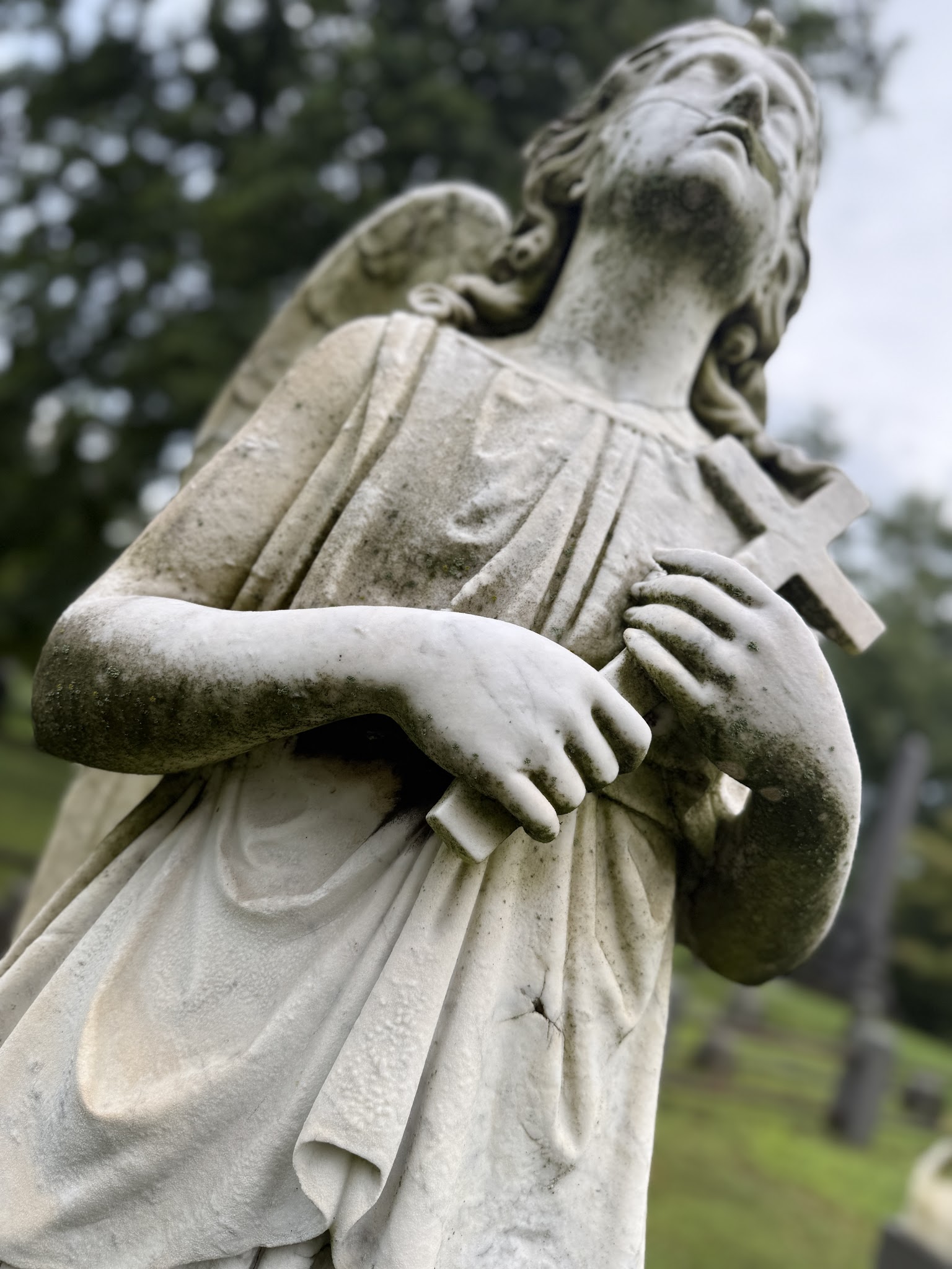 Sleepy Hollow Cemetery, photo 2 of 8