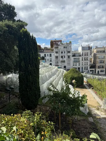 Clos Montmartre, garden in Paris