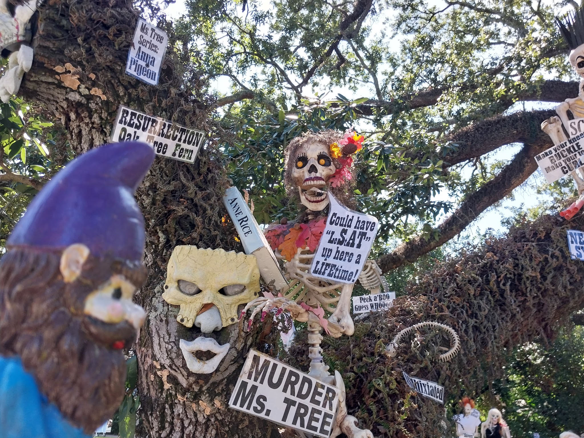 The Skeleton House, photo 8 of 8