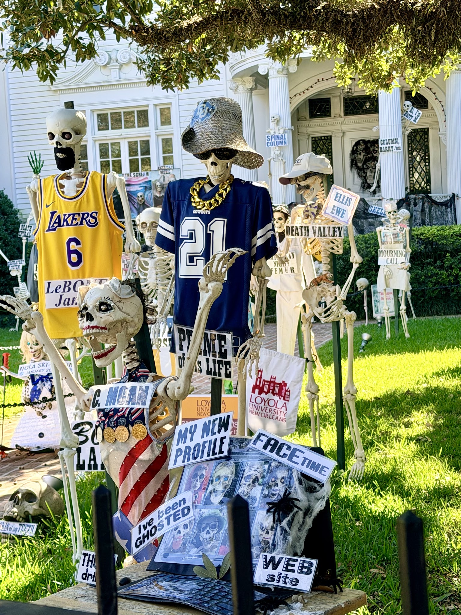 The Skeleton House, photo 7 of 8