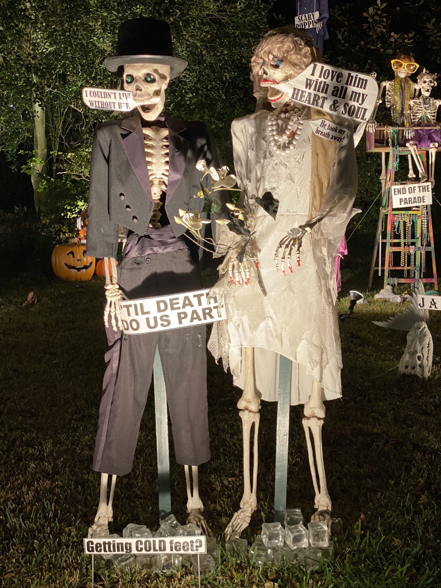 The Skeleton House, photo 2 of 8