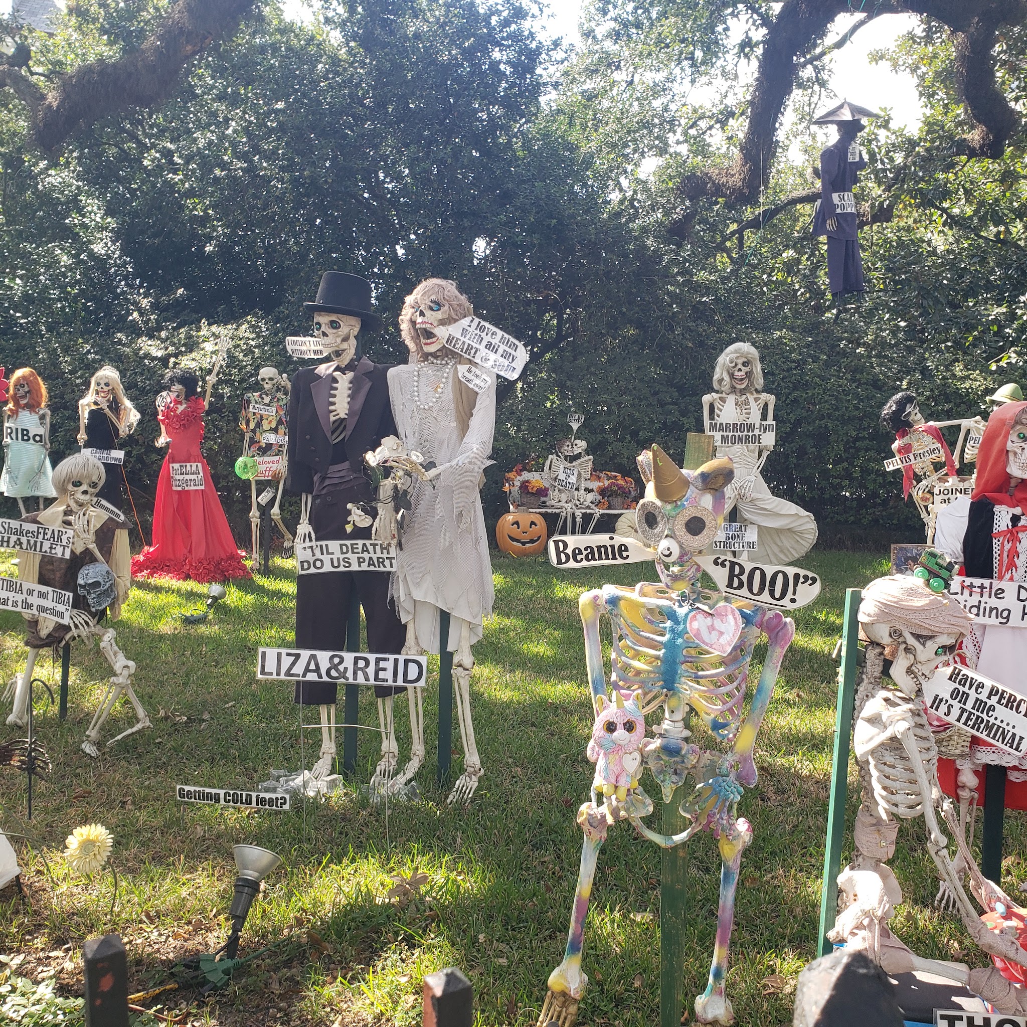 The Skeleton House, photo 3 of 8