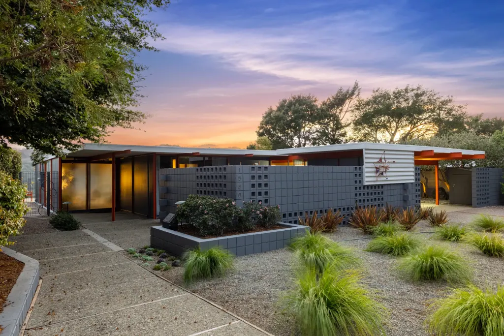 Eichler X-100
