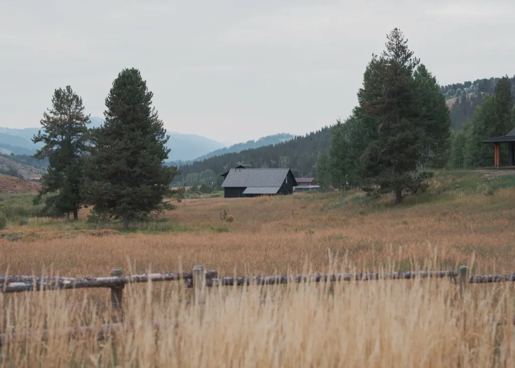 The house in the landscape