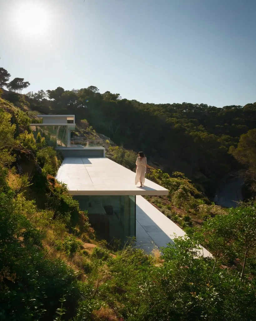 The home is framed by a thin concrete plane