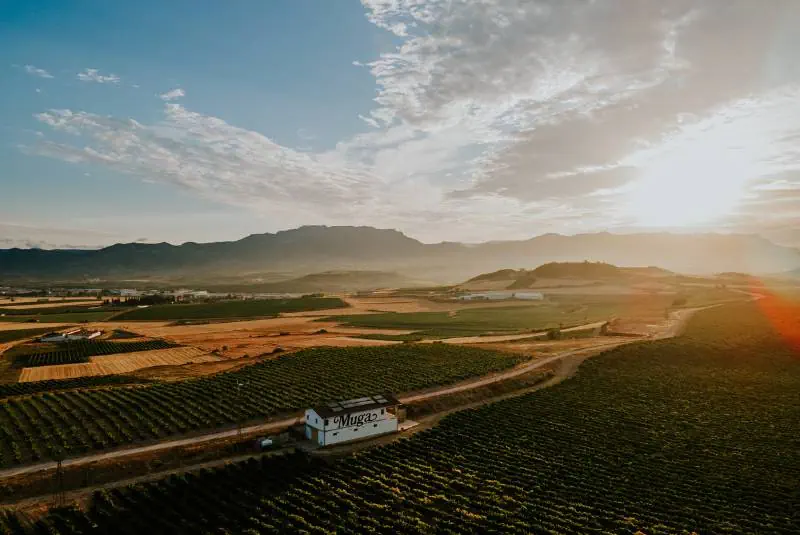 A long weekend among La Rioja's vineyards, photo 3