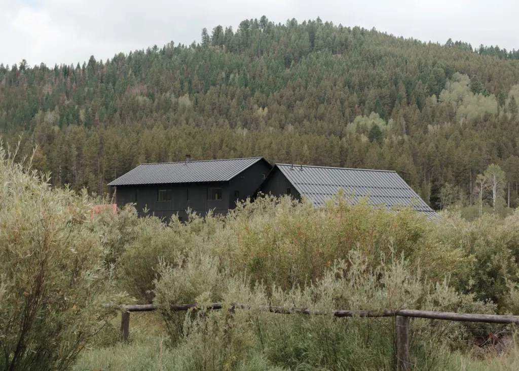 The house in the landscape