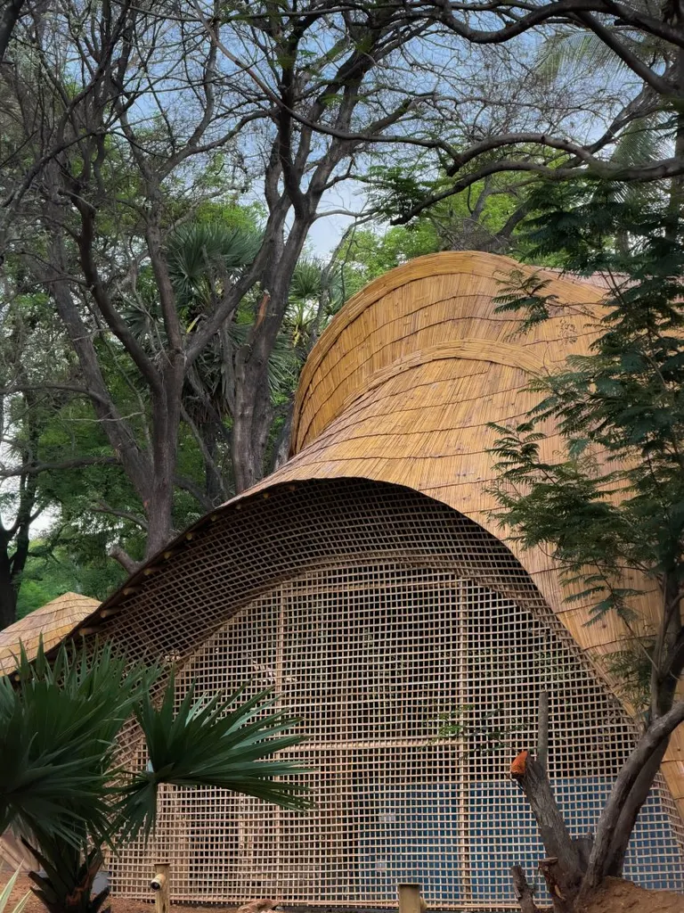 It features a series of pavilions with dramatic bamboo vaults