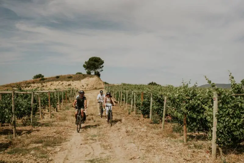 A long weekend among La Rioja's vineyards, photo 4