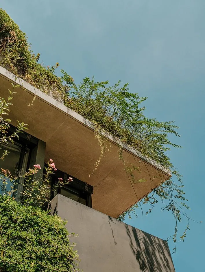 111 House _ Rodrigo Oliveira _ Isay Weinfeld, a brazilian house engulfed in greenery on all levels, nature takes over