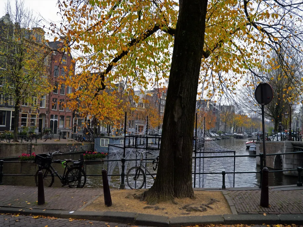 The canals