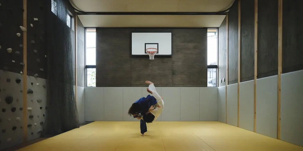 An Osaka family home built around a sports hall, photo 5