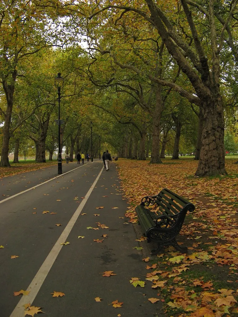 Hyde Park in autumn