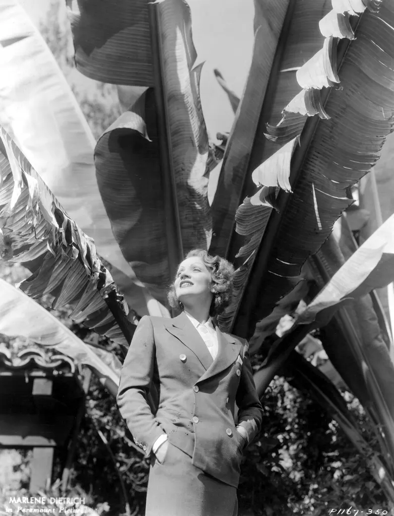 Marlene Dietrich standing beneath large leafs of tree