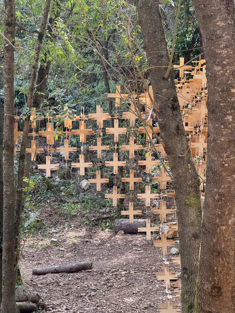 the structure rises from the forest floor toward the surrounding trees | image by Atelier DARN