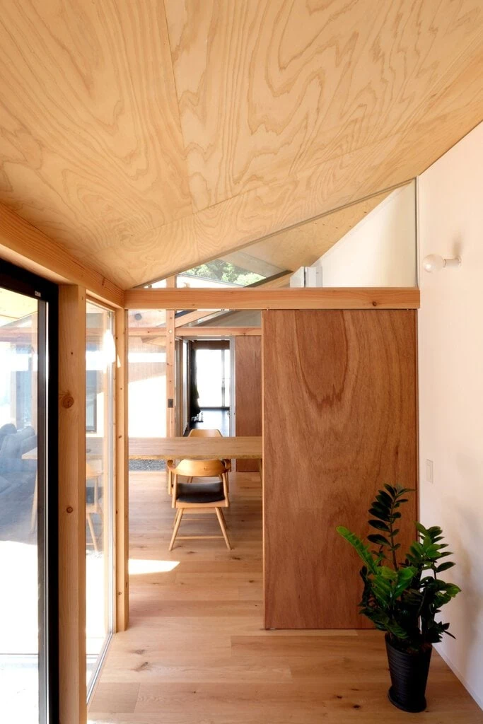 Plywood walls divide the interiors