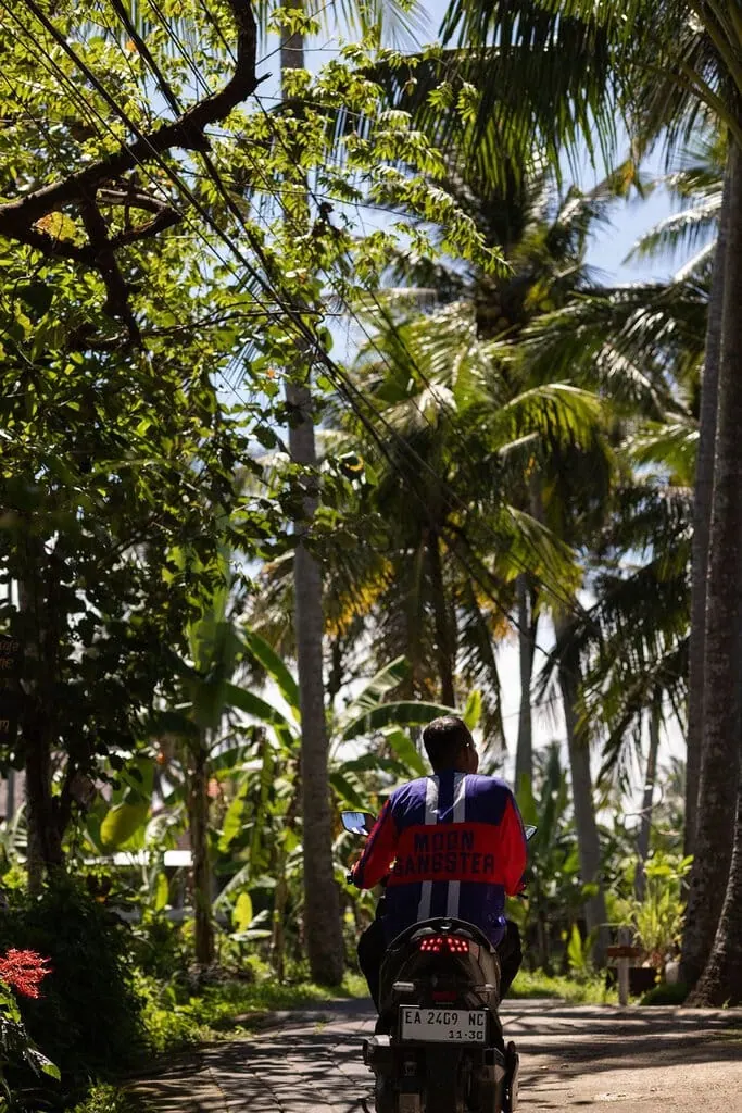 A staff member in a "Moon Gangster" jersey rides a scooter up the palm-lined Sari Organic Walk toward the hotel, dappled light falling across the paved path. Rice-field greenery and coconut palms enclose the lane, capturing Moon Gang's car-free hillside approach and its scooter-led arrival ritual.