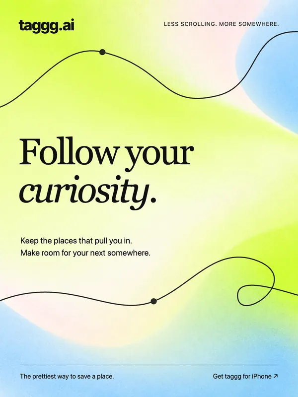 Follow your curiosity.
